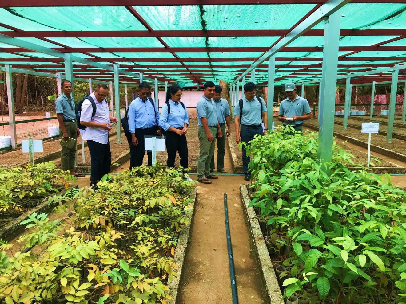 မိကျောင်းလှောင်းပျိုးဥယျာဉ်အတွင်း ပျိုးထောင်ထားရှိသည့် ပျိုးပင်များကို ကြည့်ရှုစစ်ဆေးခြင်း