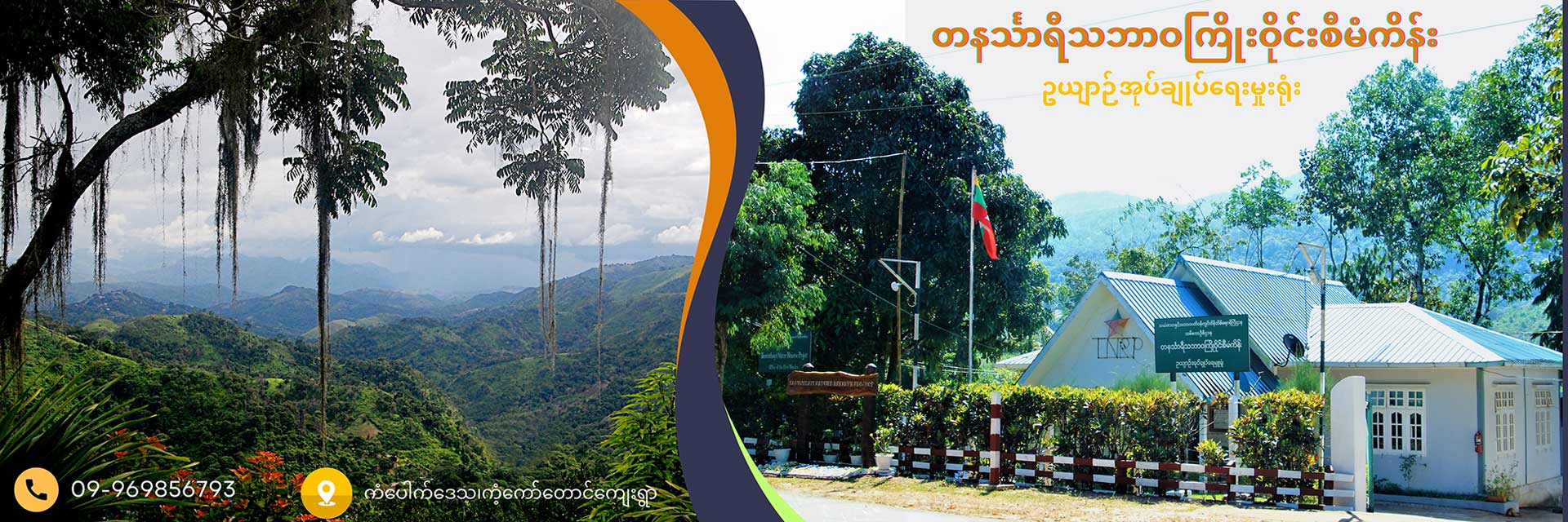Welcome to Taninthayi Nature Reserve Project