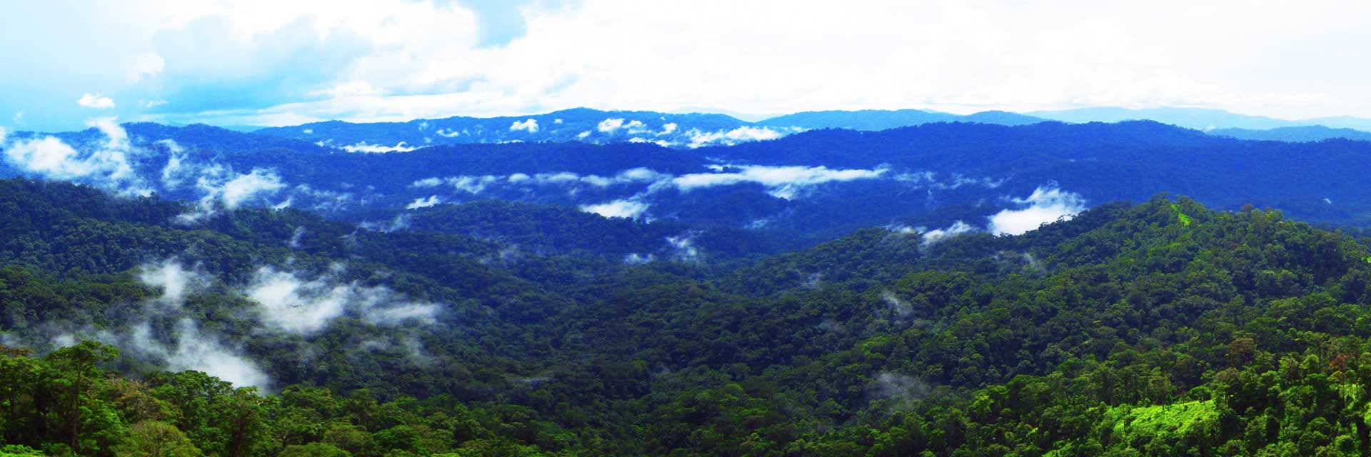 Welcome to Taninthayi Nature Reserve Project