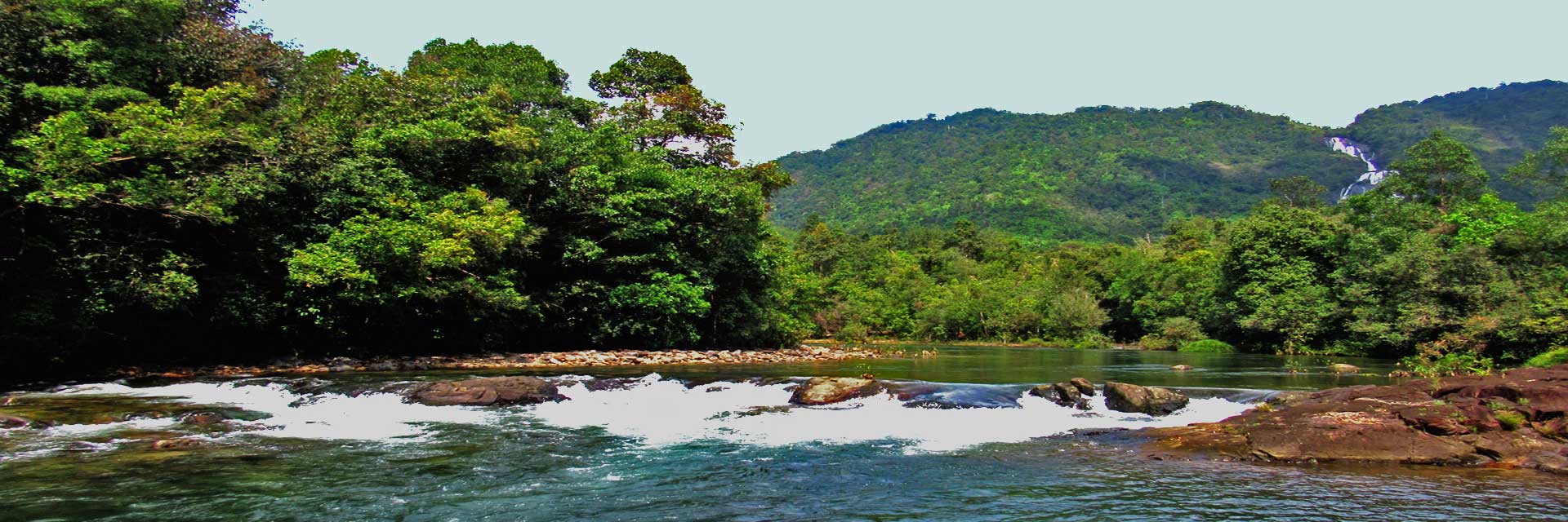 Welcome to Taninthayi Nature Reserve Project