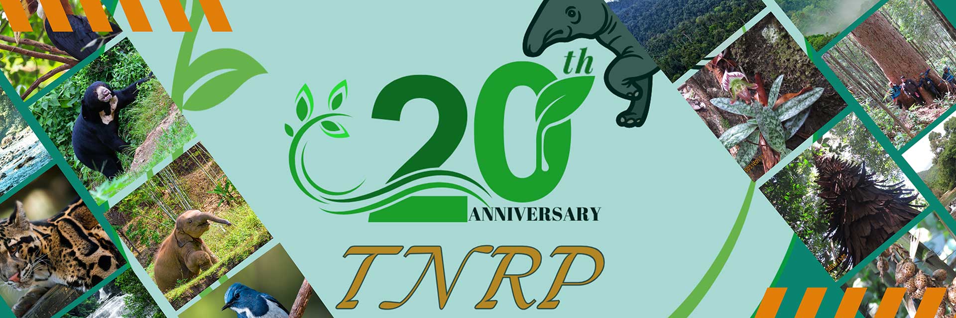 Welcome to Taninthayi Nature Reserve Project