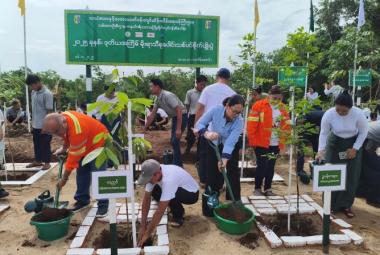 ၂၀၂၅ ခုနှစ်၊ ဒုတိယအကြိမ် မိုးရာသီစုပေါင်းသစ်ပင်စိုက်ပျိုးပွဲကျင်းပခြင်း